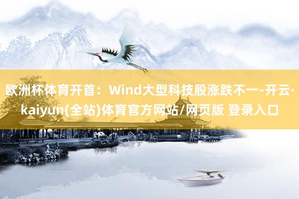 欧洲杯体育开首：Wind大型科技股涨跌不一-开云·kaiyun(全站)体育官方网站/网页版 登录入口