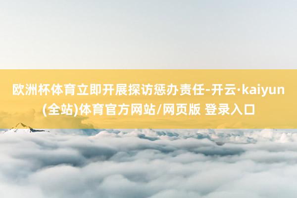 欧洲杯体育立即开展探访惩办责任-开云·kaiyun(全站)体育官方网站/网页版 登录入口