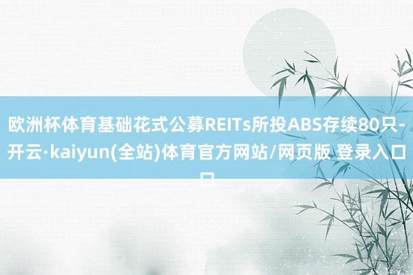 欧洲杯体育基础花式公募REITs所投ABS存续80只-开云·kaiyun(全站)体育官方网站/网页版 登录入口