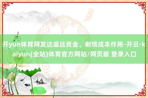 开yun体育网发达遥远资金、耐烦成本作用-开云·kaiyun(全站)体育官方网站/网页版 登录入口